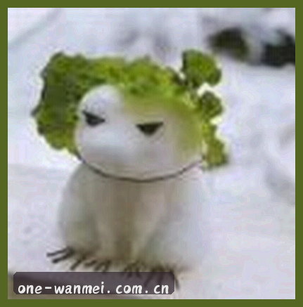 周磊